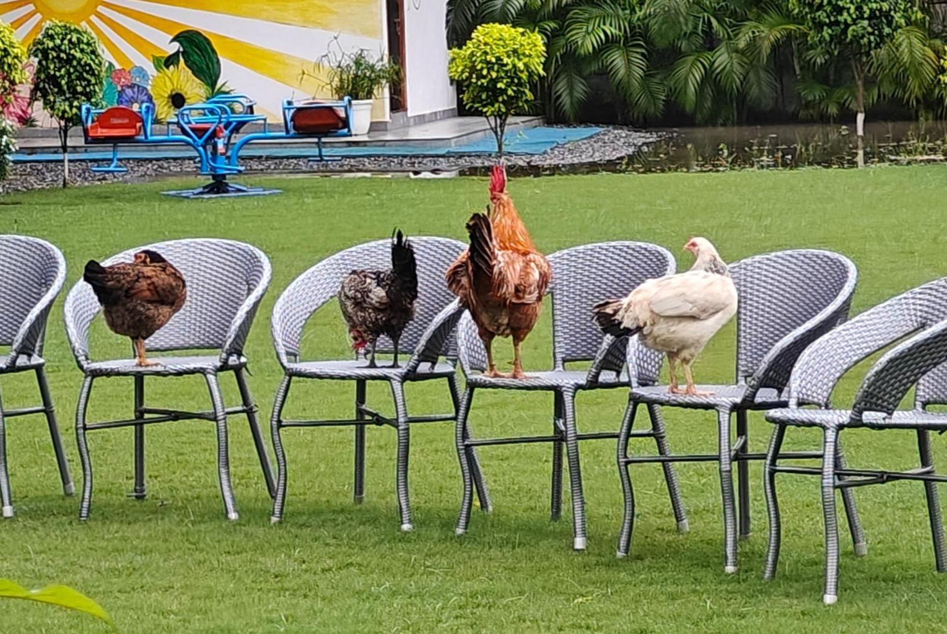 Shobhayan Inn, Airport Railway Station Pickup Free Ayodhya Zewnętrze zdjęcie