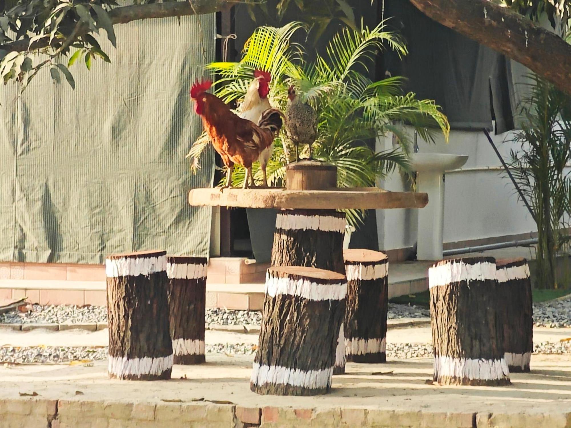 Shobhayan Inn, Airport Railway Station Pickup Free Ayodhya Zewnętrze zdjęcie